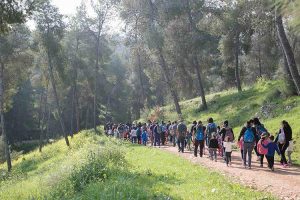צעדת הגלבוע כרטיסים באתר המועצה