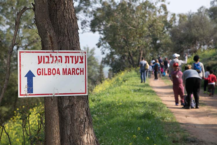 צעדת הגלבוע 2020 מסלולים והרשמה