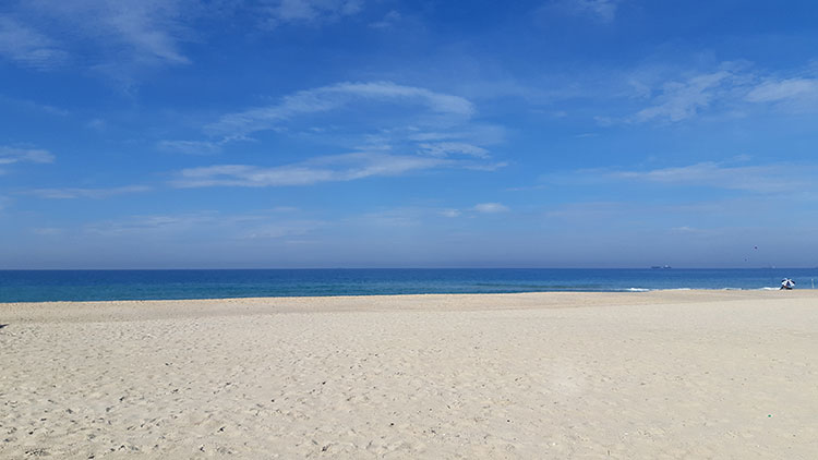 חוף ניצנים
