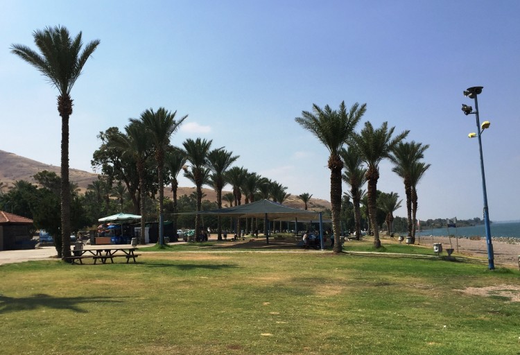 קמפינג בכנרת