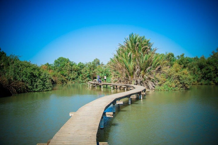 שמורת טבע