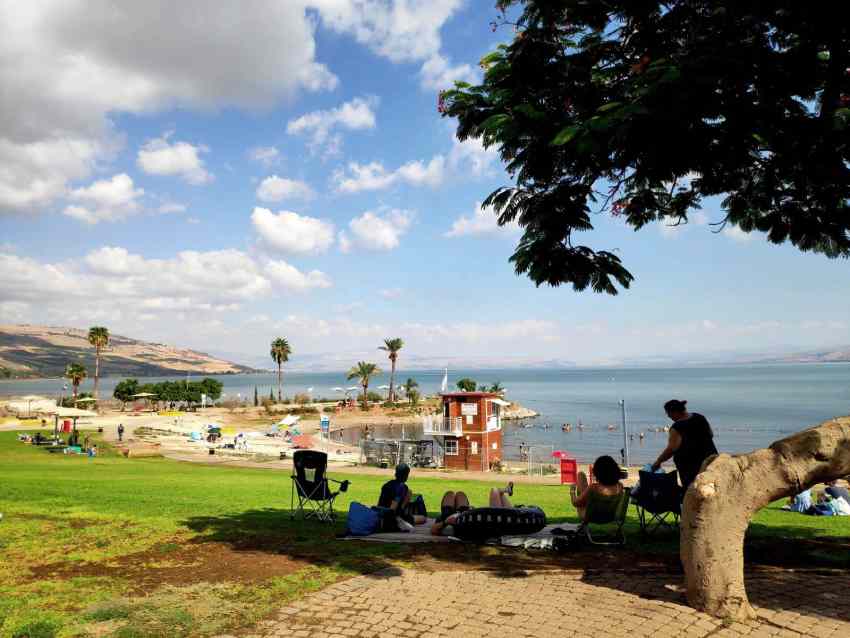 עונת הרחצה בכנרת, חופי מוכרזים בכנרת, חוף עם מציל בכנרת, חוף מסדר בכנרת