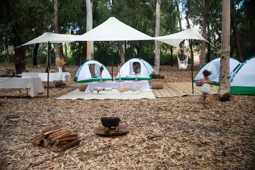 הקמת מתחם זולה