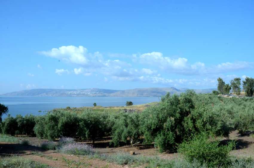 שביל סובב כינרת כפר נחום