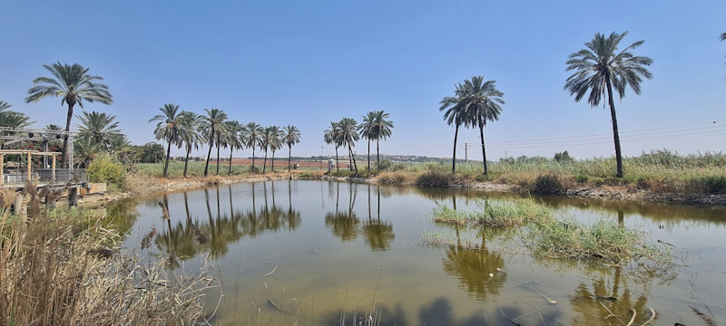 לייק האוס גלמפינג, גלמפינג עמק המעיינות