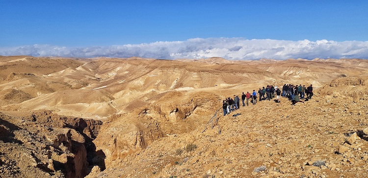 מרפסת נחל צאלים