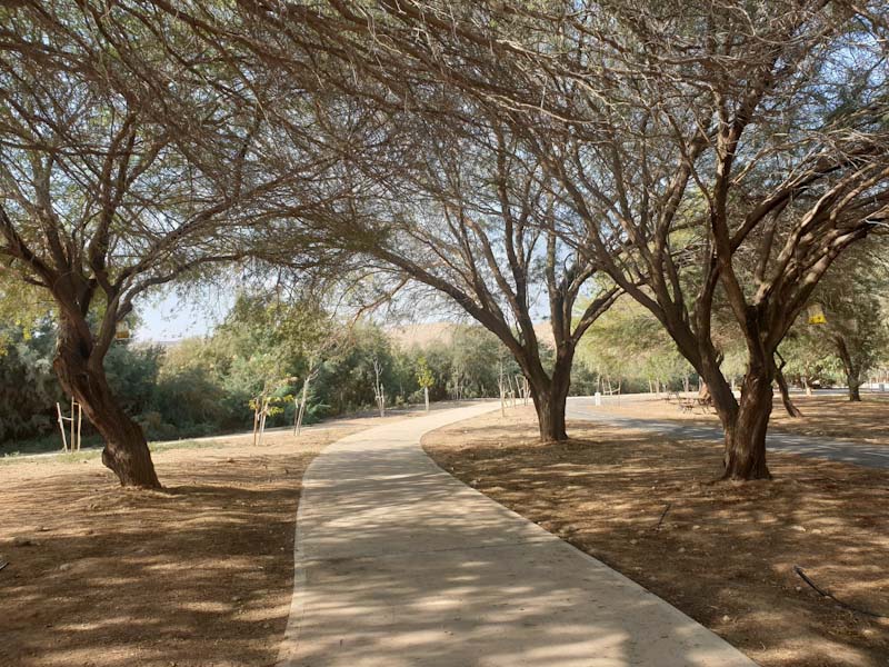 מכרזים לגלמפינג