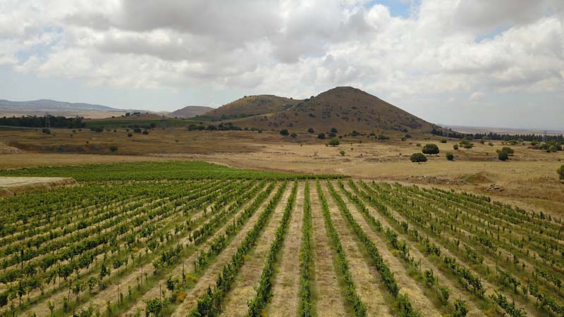 גלמפינג גשר הזיו