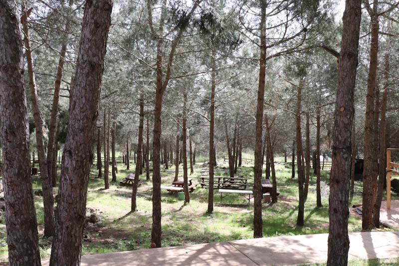 גלמפינג קבוץ אורטל