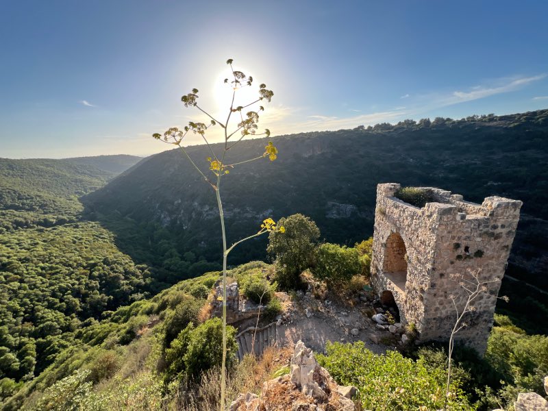 מסלול מבצר מונפורט