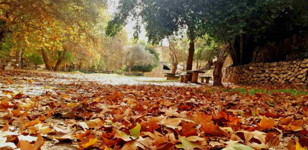 טיול באזור ירושלים, גן לאומי עין חמד